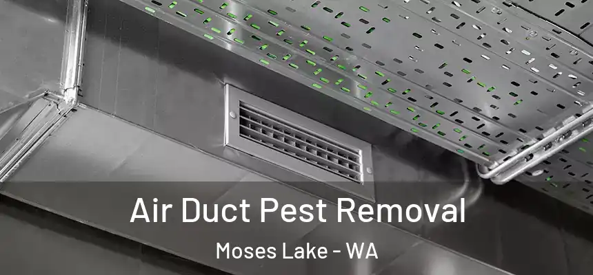 Air Duct Pest Removal Moses Lake - WA