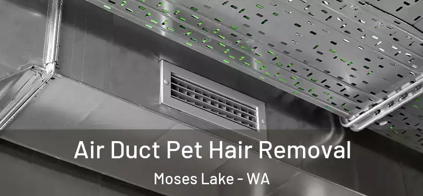  Air Duct Pet Hair Removal Moses Lake - WA