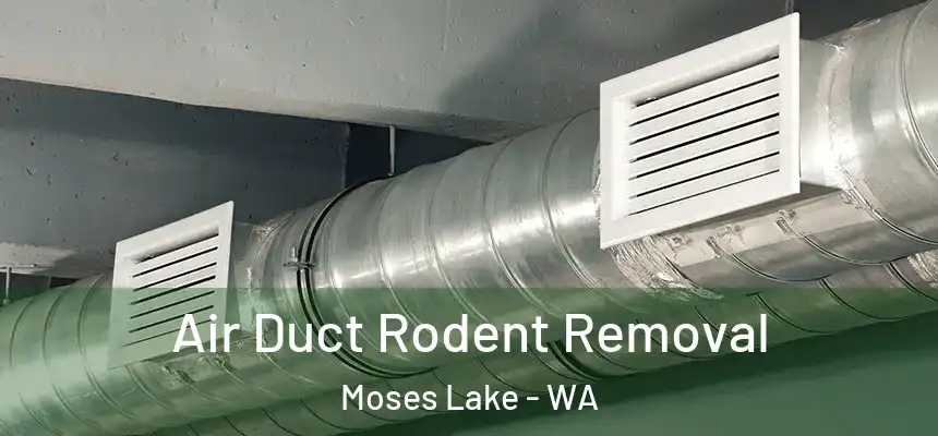Air Duct Rodent Removal Moses Lake - WA