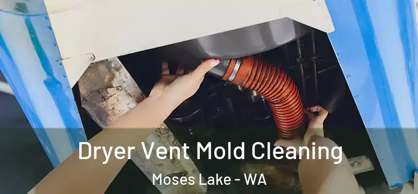 Dryer Vent Mold Cleaning Moses Lake - WA