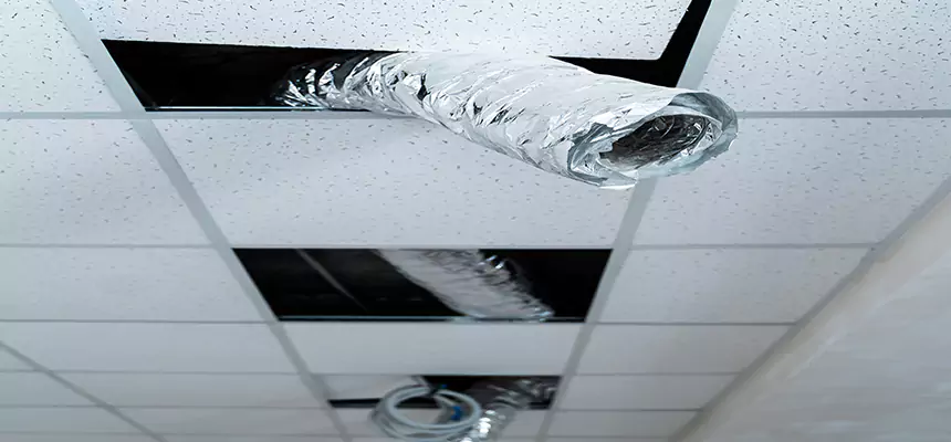 Our Air Duct Pet Hair Removal Services in Moses Lake, WA