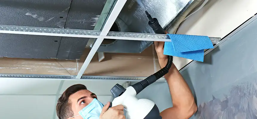 Our Air Duct Rodent Removal Services in Moses Lake, WA