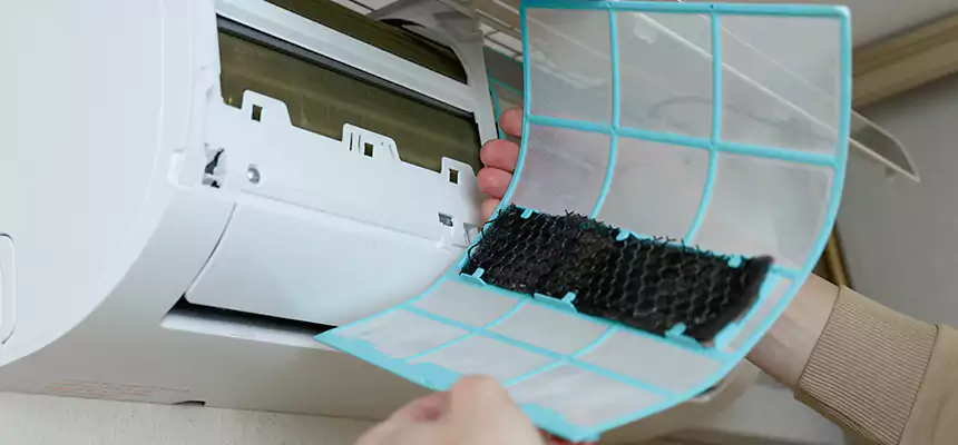 Gentle Ductwork Odor-Control Pet Dander Duct Cleaning in Moses Lake, WA