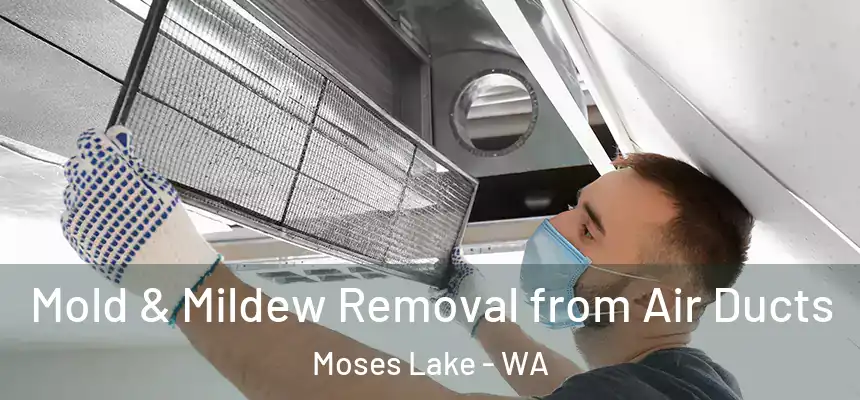 Mold & Mildew Removal from Air Ducts Moses Lake - WA