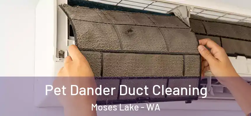  Pet Dander Duct Cleaning Moses Lake - WA